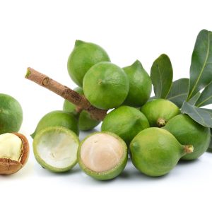 actif_macadamia